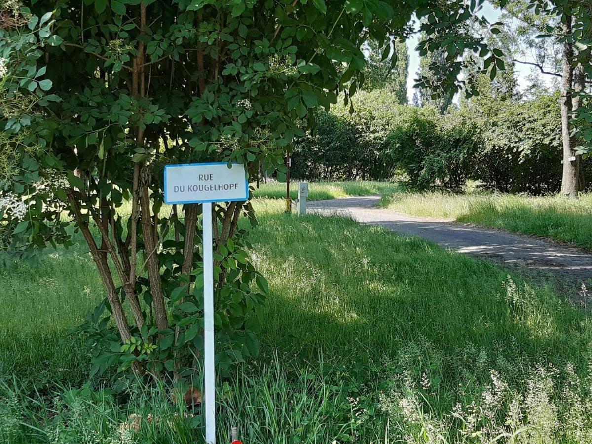 Camping De L'Ill Miluza Zewnętrze zdjęcie